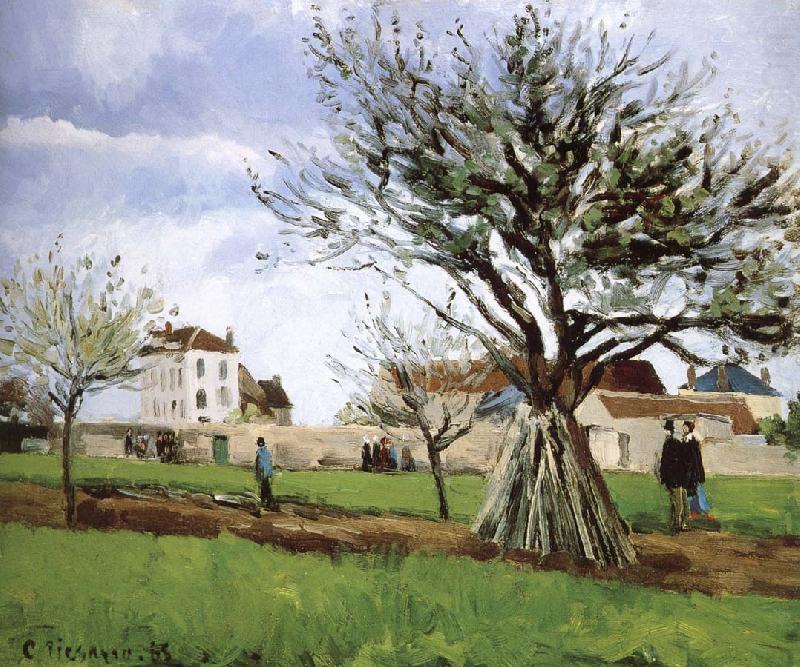 Pang map of apple Schwarz, Camille Pissarro